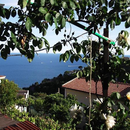 Le Mimose Vietri Exterior foto