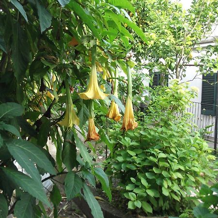 Le Mimose Vietri Exterior foto