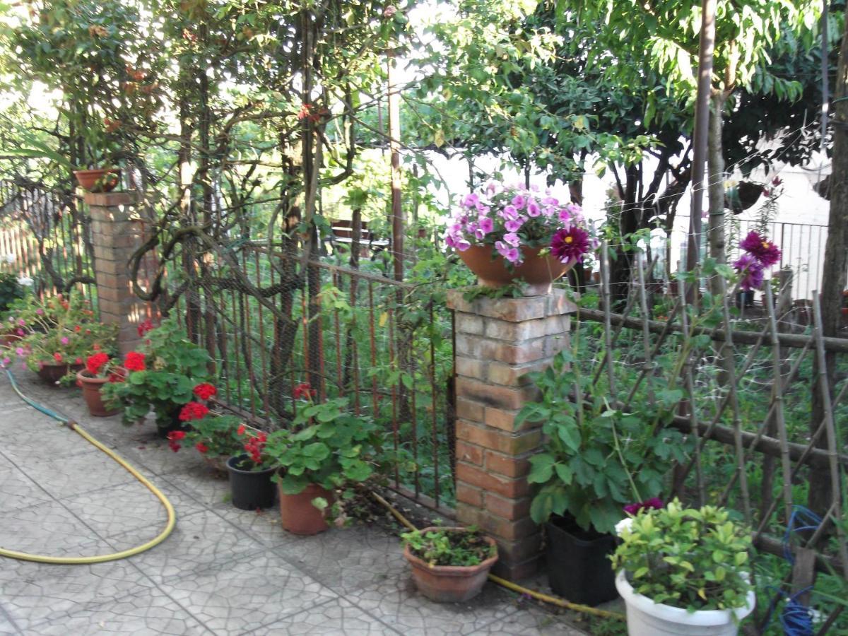 Le Mimose Vietri Exterior foto