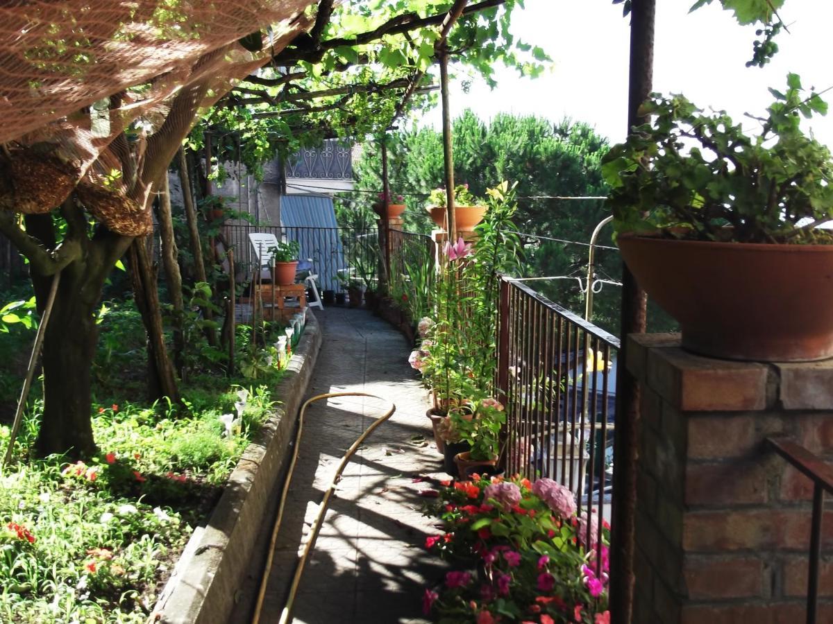 Le Mimose Vietri Exterior foto