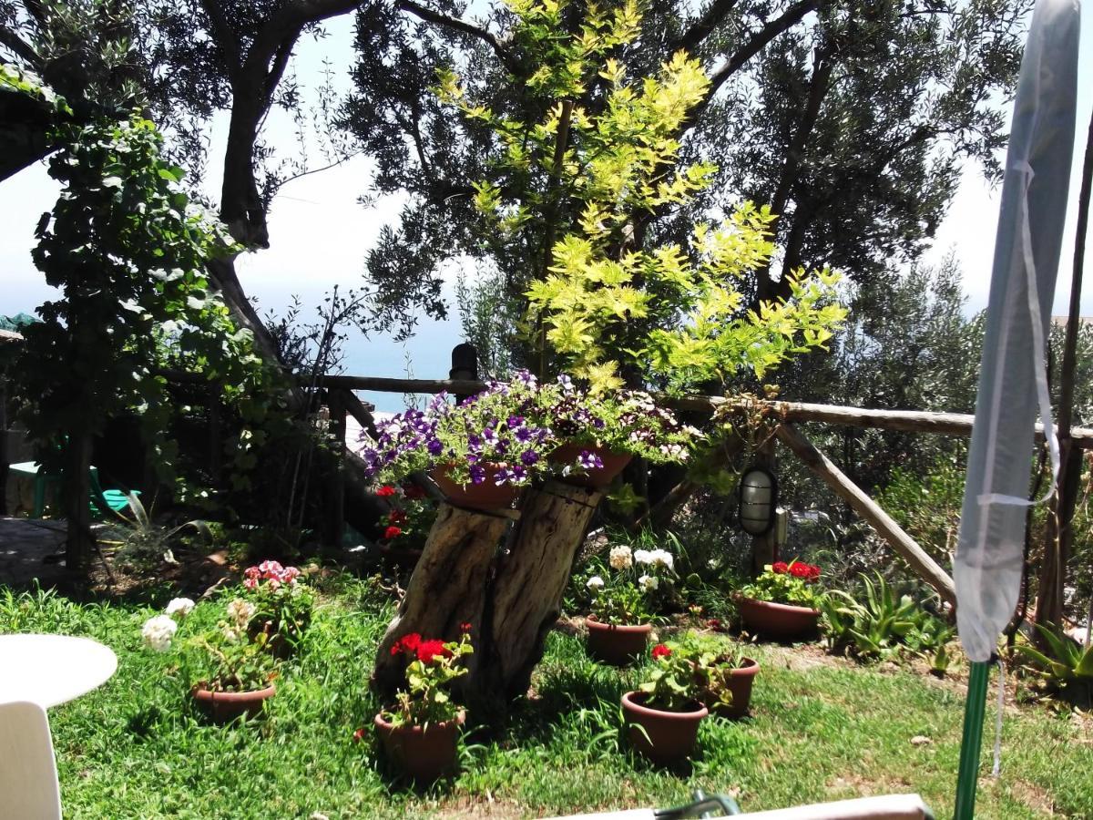 Le Mimose Vietri Exterior foto