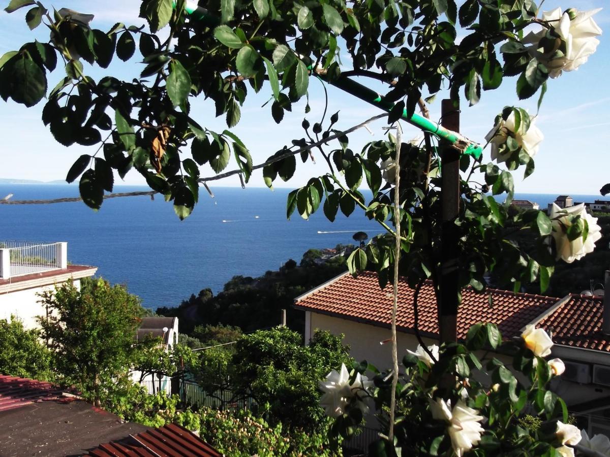 Le Mimose Vietri Exterior foto