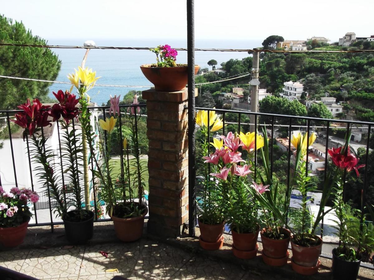 Le Mimose Vietri Exterior foto
