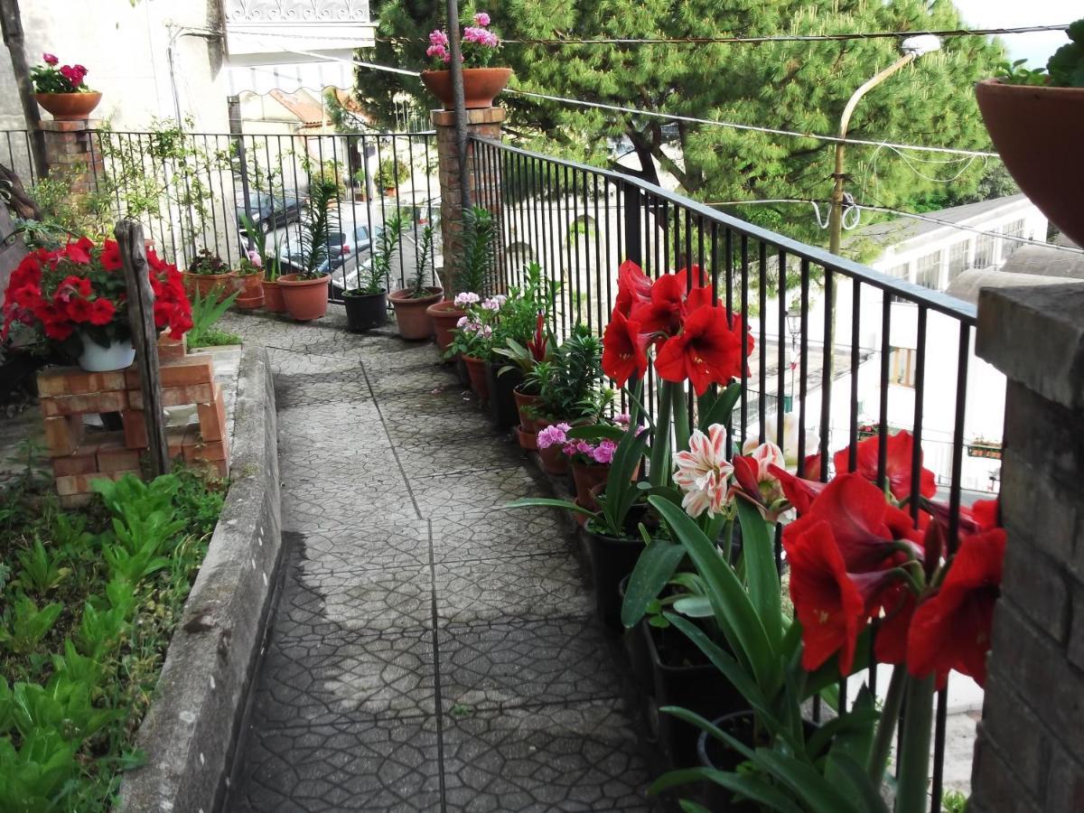 Le Mimose Vietri Exterior foto
