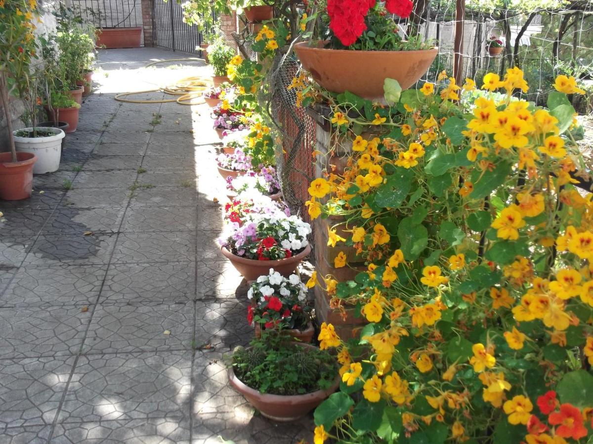 Le Mimose Vietri Exterior foto