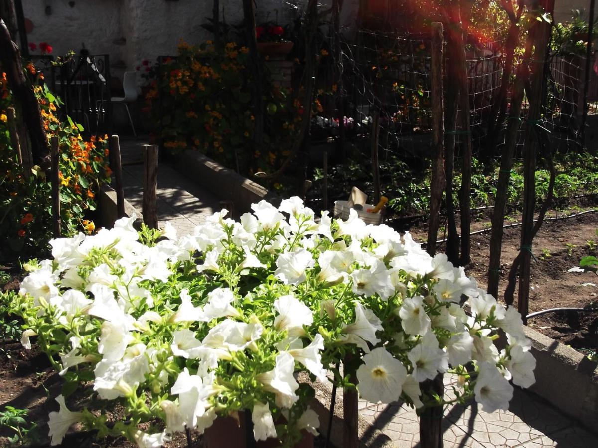 Le Mimose Vietri Exterior foto
