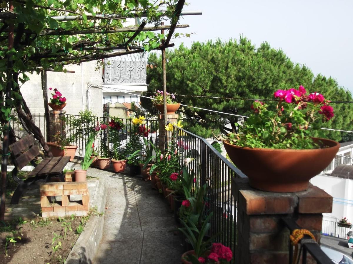 Le Mimose Vietri Exterior foto