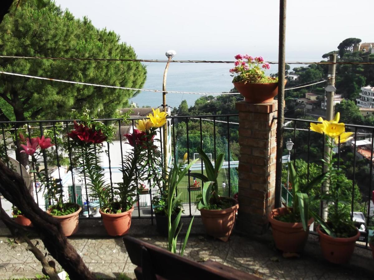 Le Mimose Vietri Exterior foto