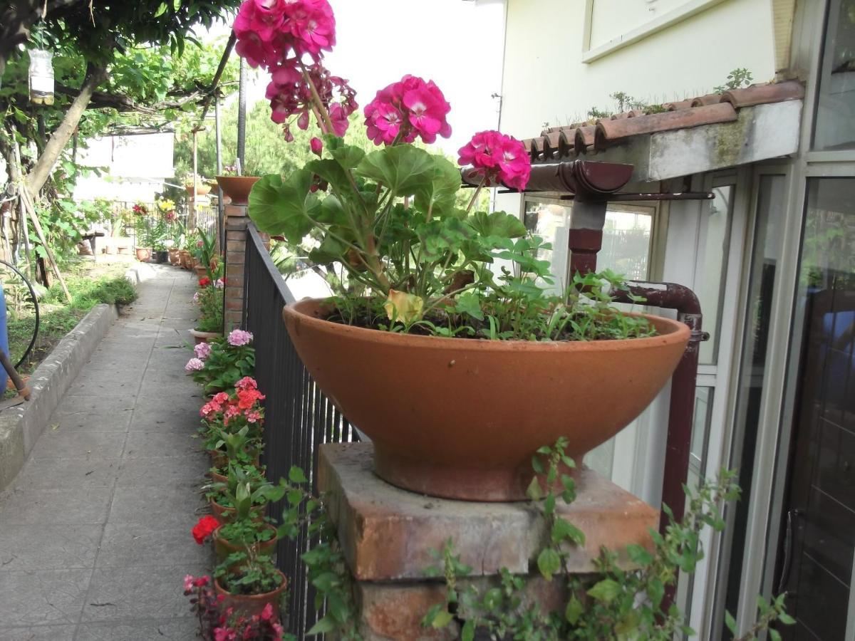 Le Mimose Vietri Exterior foto
