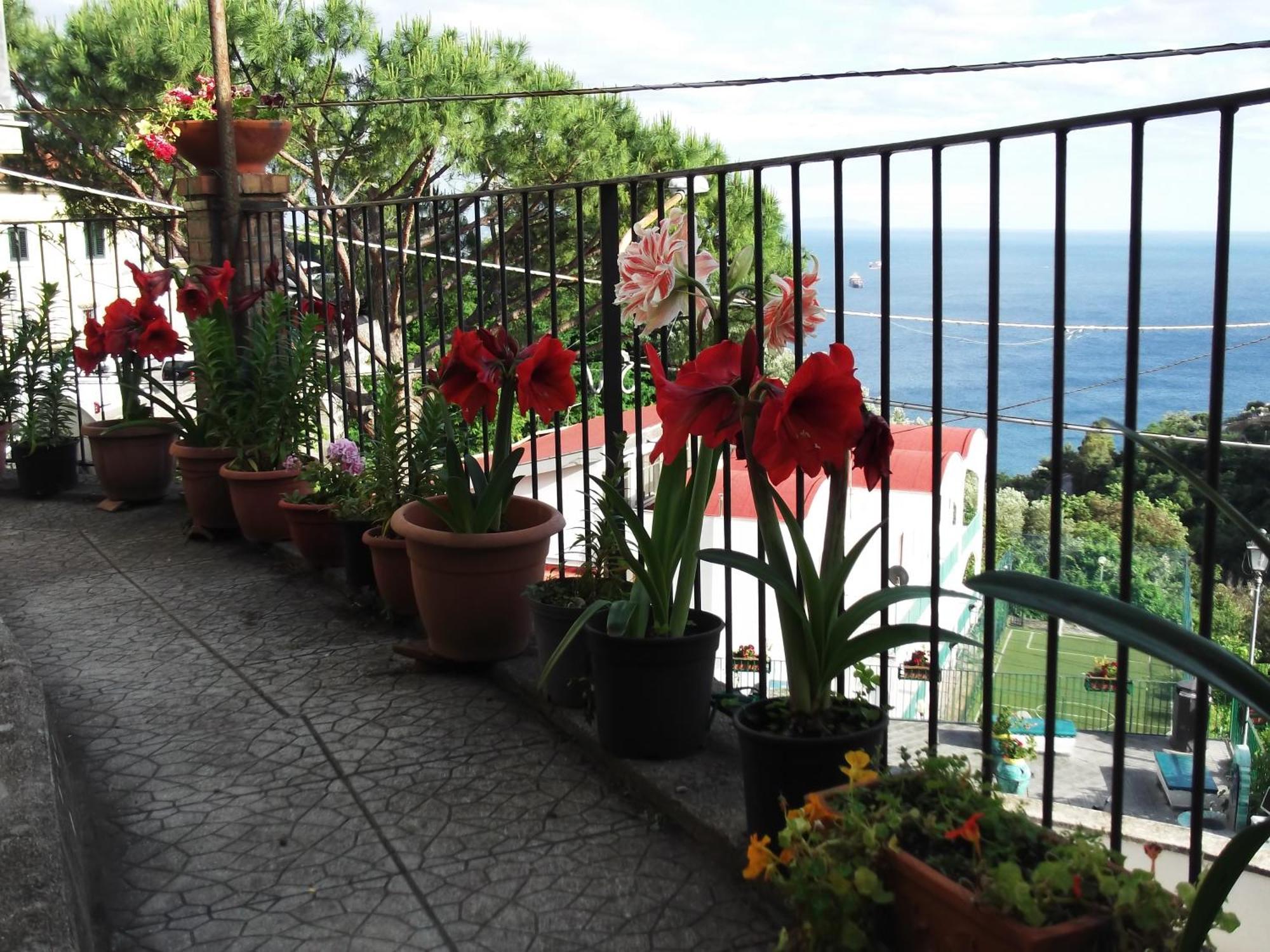 Le Mimose Vietri Exterior foto
