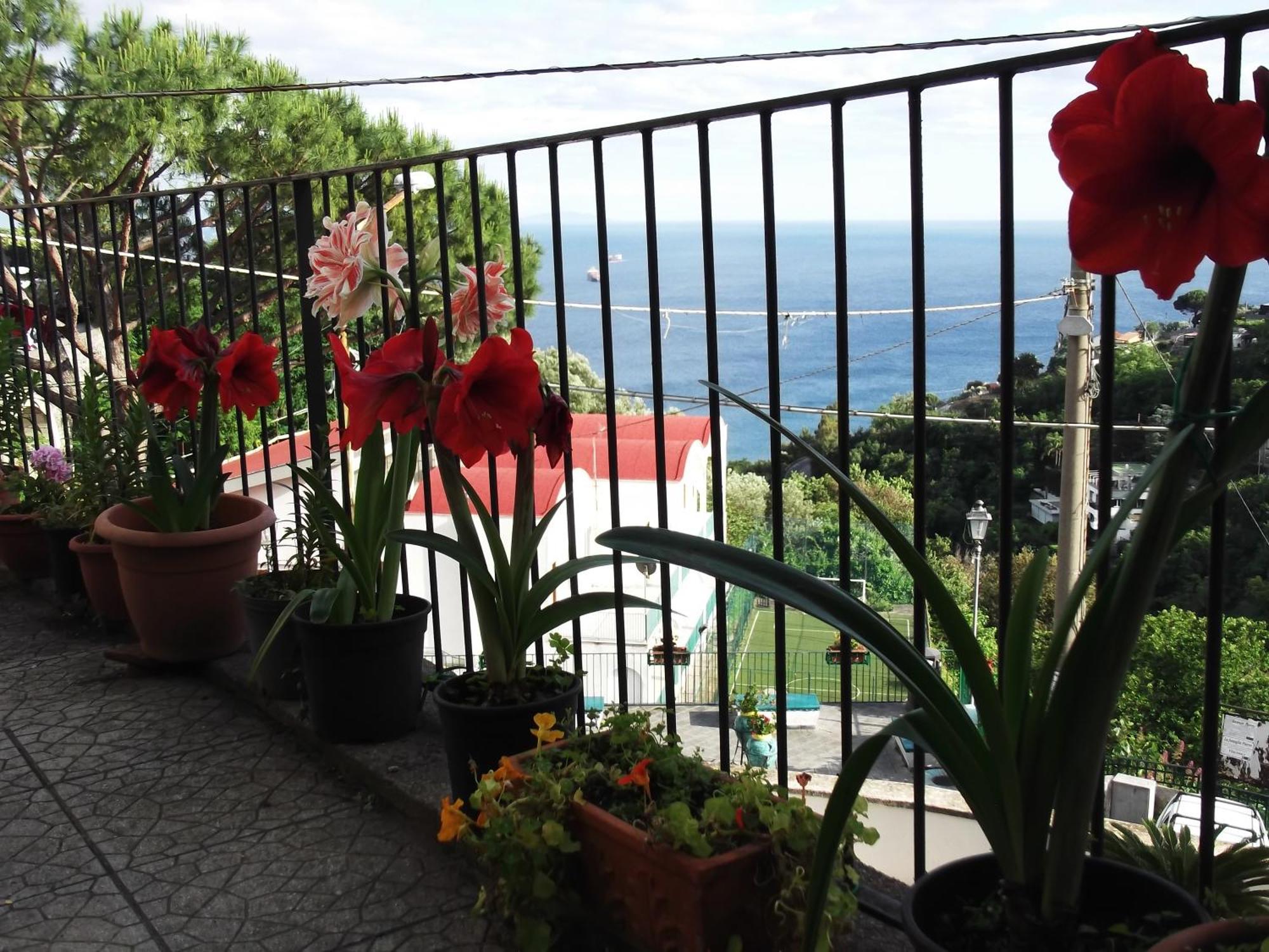 Le Mimose Vietri Exterior foto