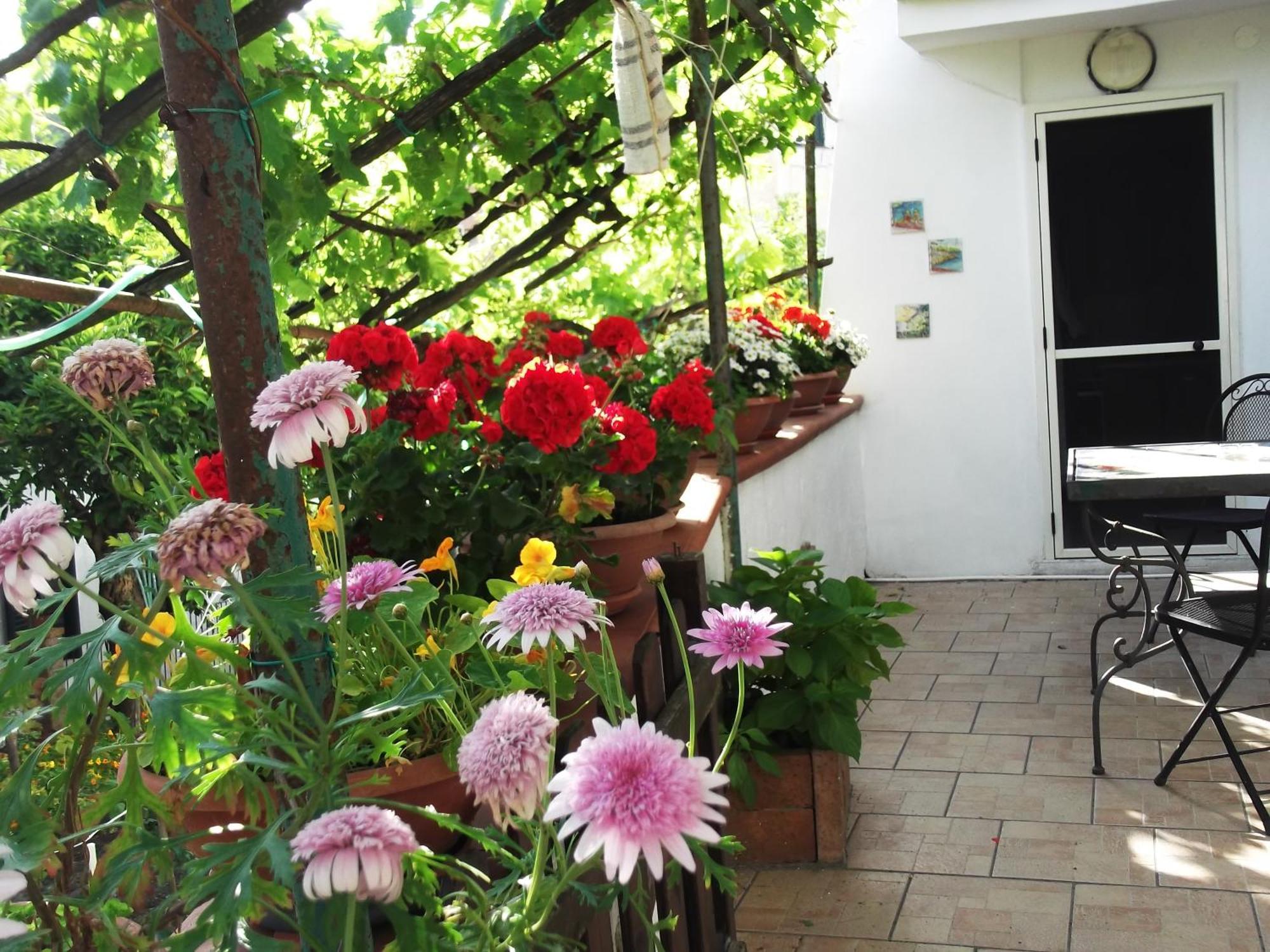Le Mimose Vietri Exterior foto