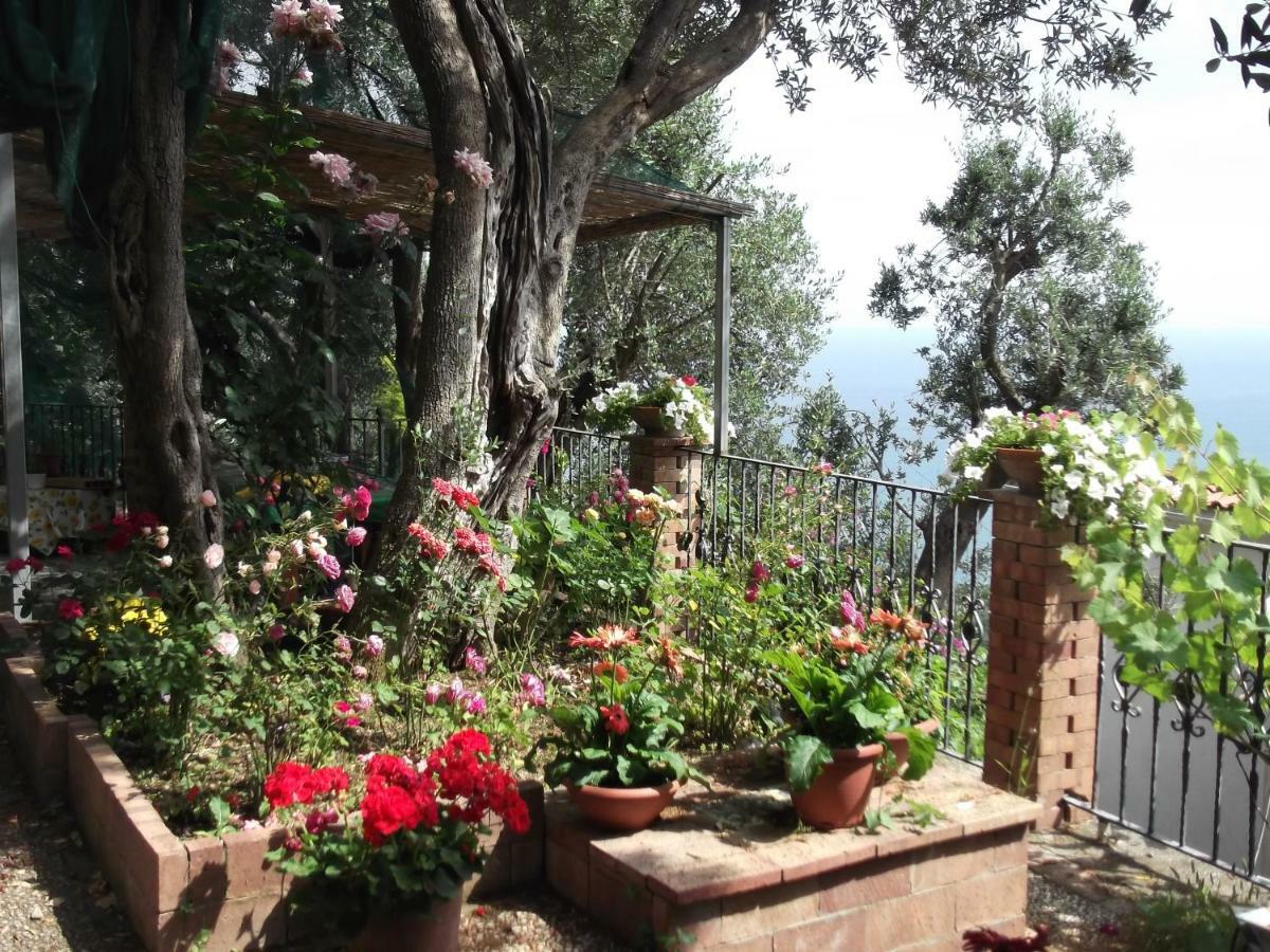 Le Mimose Vietri Exterior foto