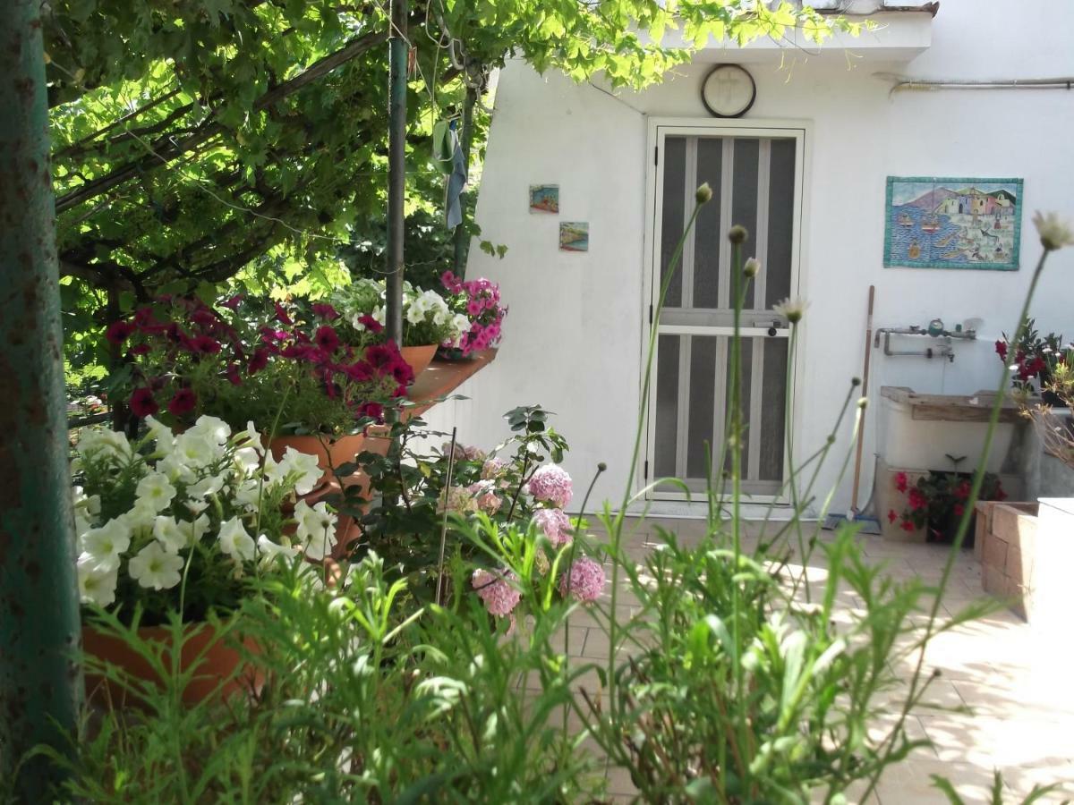 Le Mimose Vietri Exterior foto