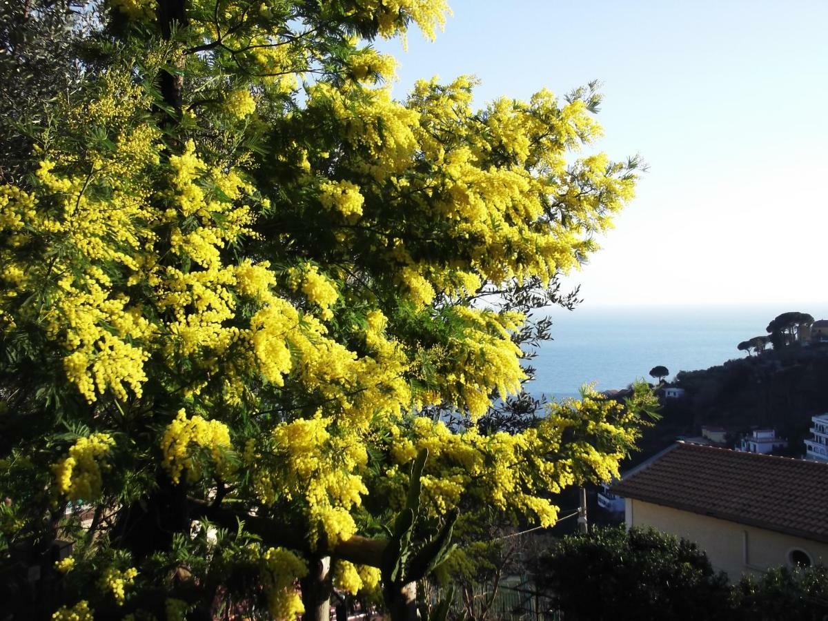 Le Mimose Vietri Exterior foto